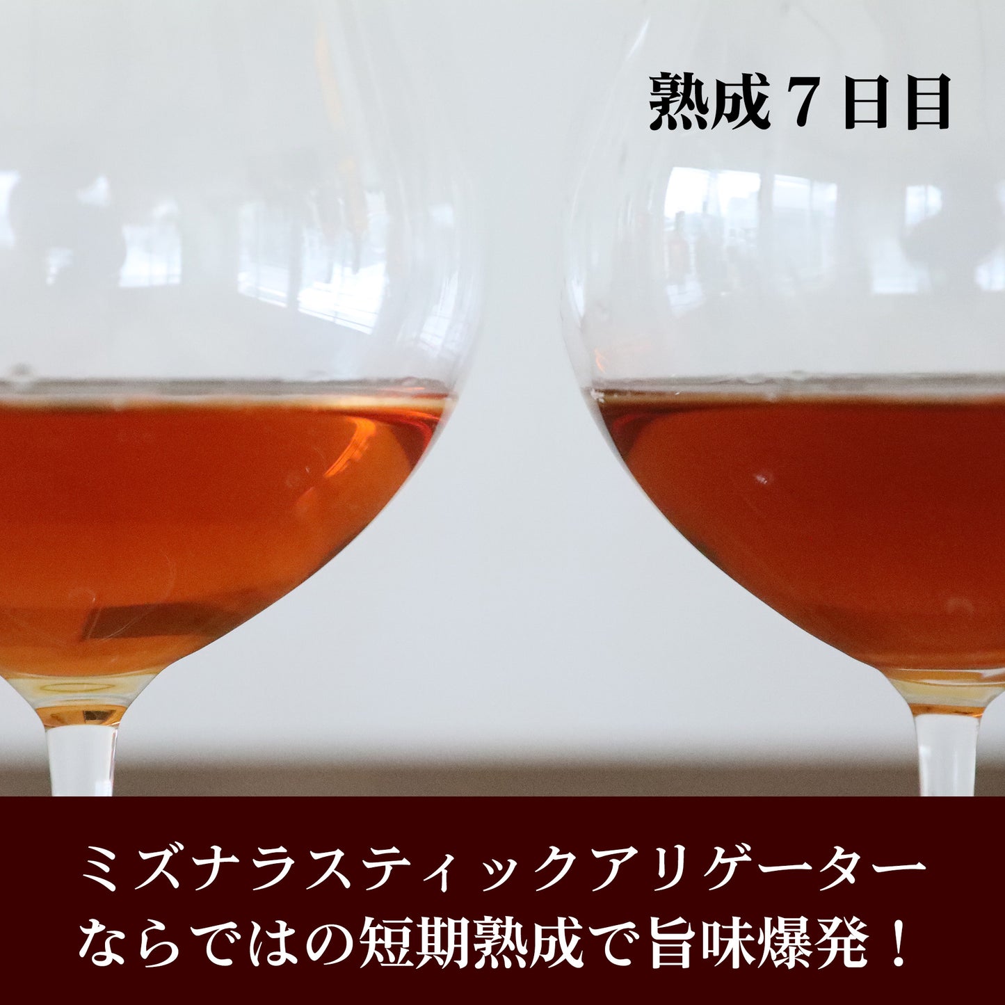 ミズナラスティックアリゲーター