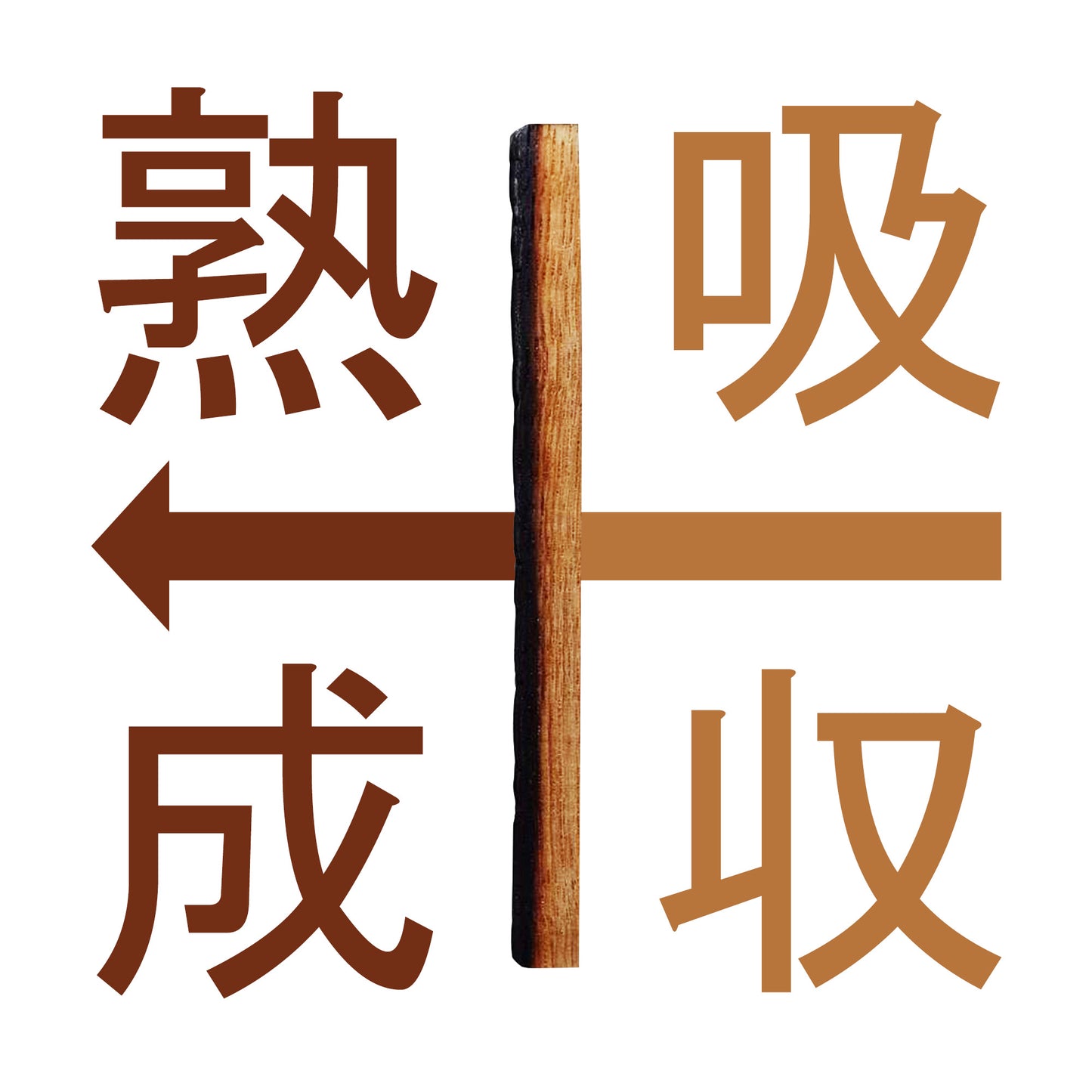 ミズナラスティックアリゲーター