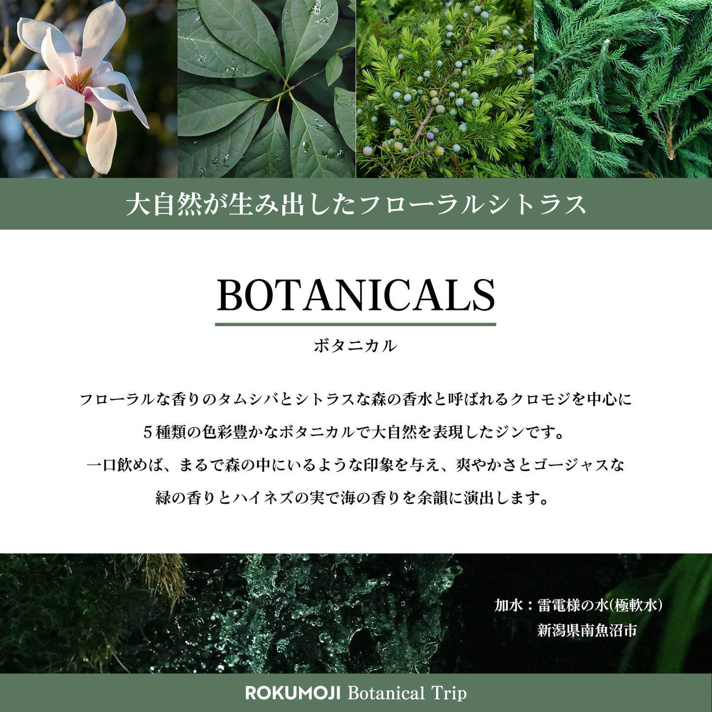 ROKUMOJI BOTANICAL TRIP