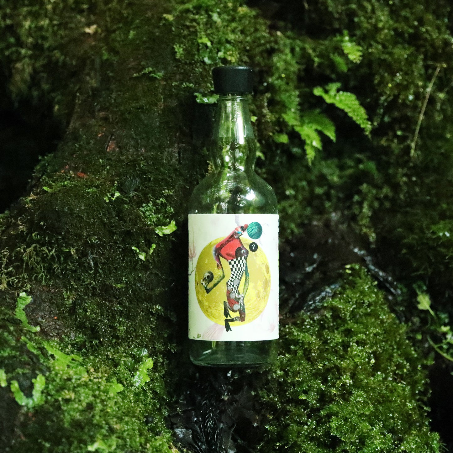 ROKUMOJI BOTANICAL TRIP