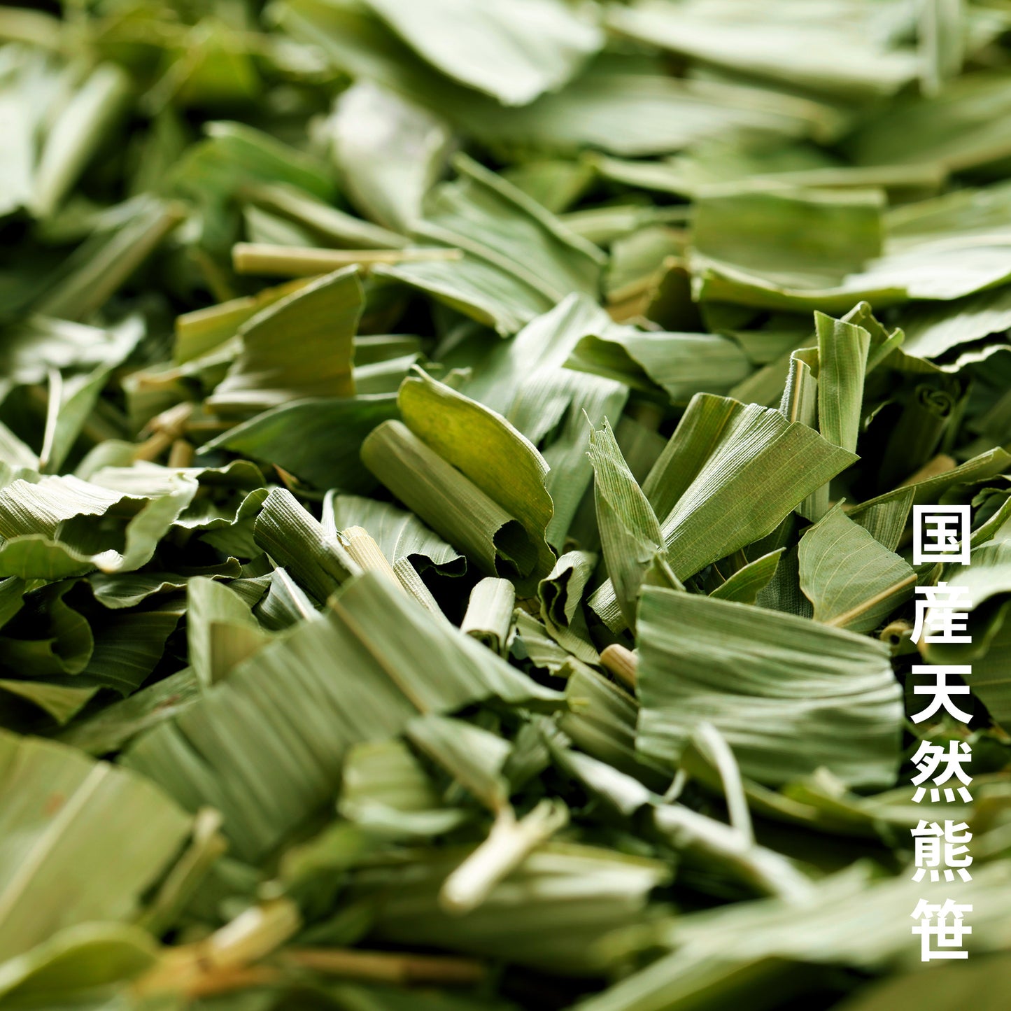 笹団子茶ギフト×1箱(5パック×2包入り)