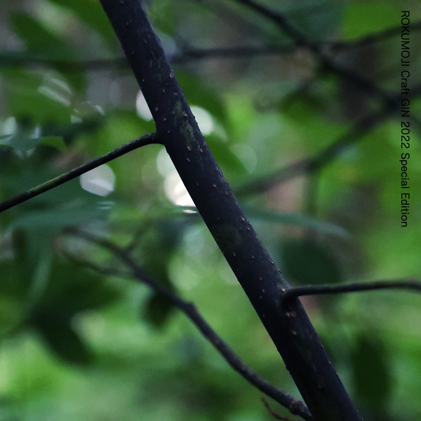 ROKUMOJI Craft GIN 2022 Special Edition