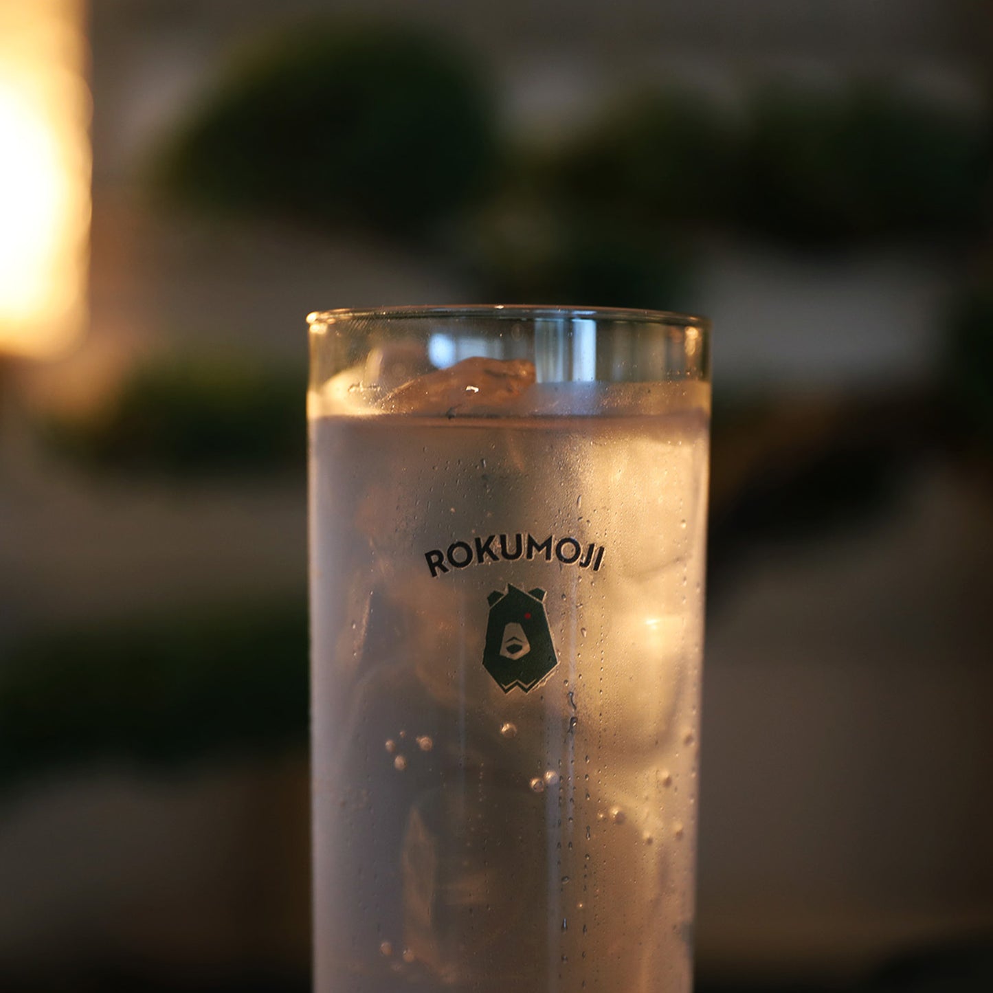 ROKUMOJI Craft GIN Green Planet